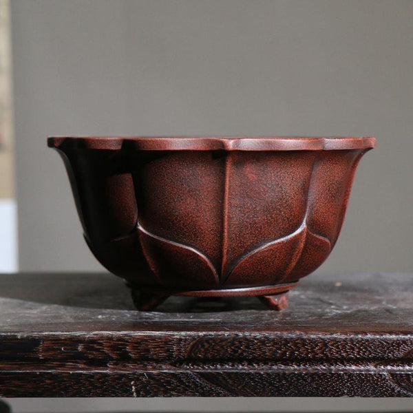 Lotus Shaped Bonsai Pots  Showcase Your Bonsai Artistry with Grace   Mypotscape