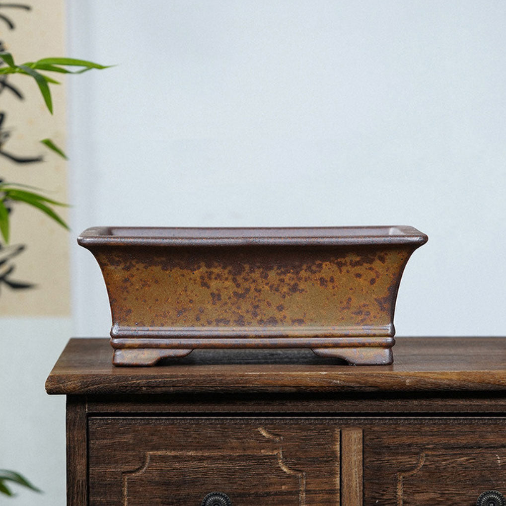 japanische nelkenkirsche bonsai Prunus serrulata 'Kanzan' - Japanische Nelkenkirsche
