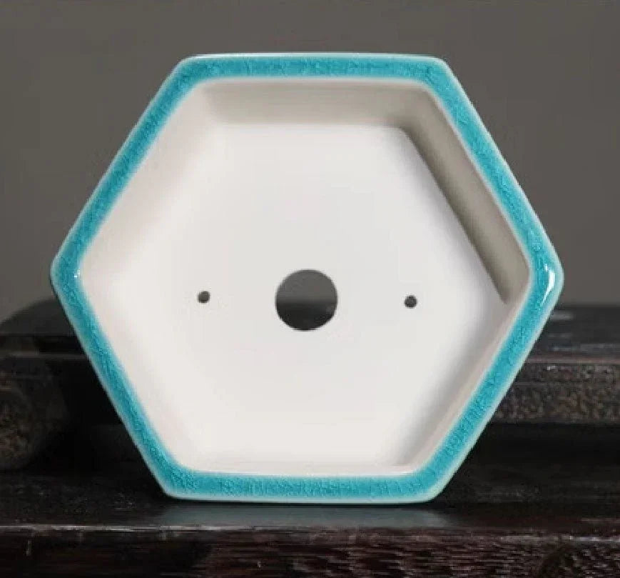 Vasi Bonsai Mini Esagonali Smaltati Fatti a Mano 5.5" (14cm)