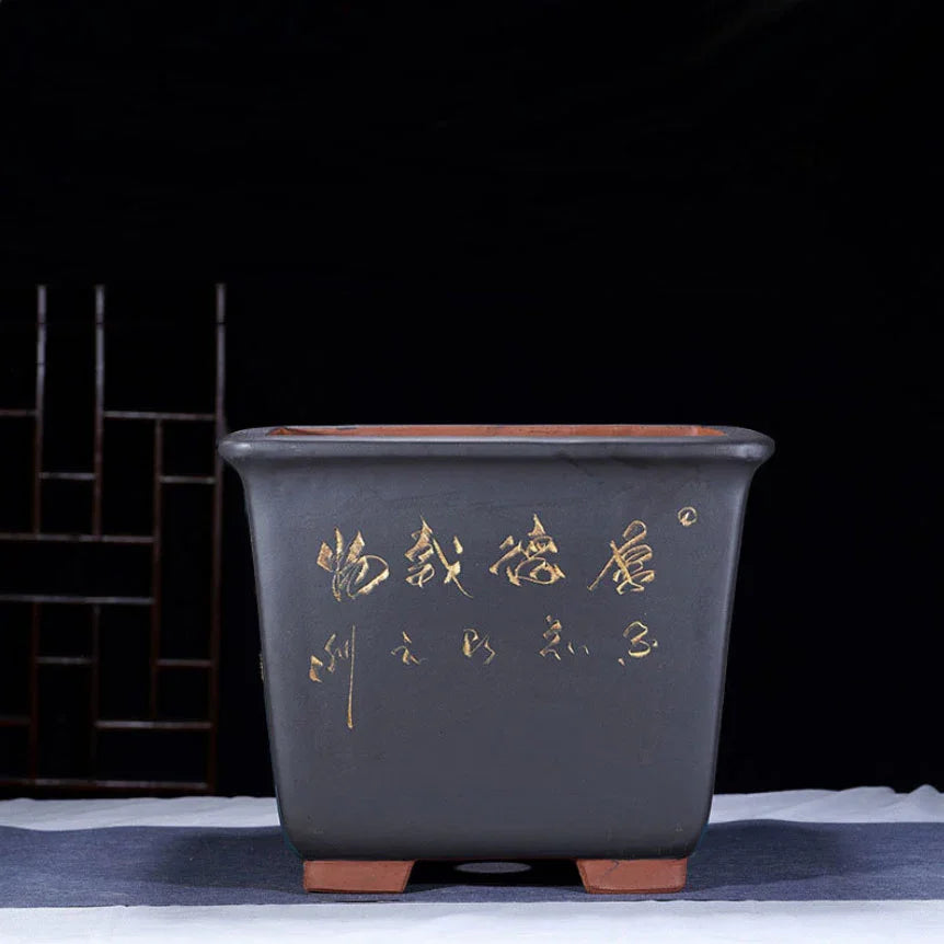 11" (28cm) Large 9.8" (25cm) Deep Square Engraved Bonsai Pots