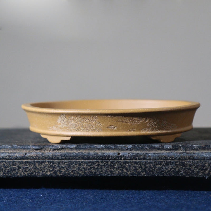 5.5" (14cm) Extra Small Oval Raised Feet Shallow Bonsai Pot w Engraved Designs