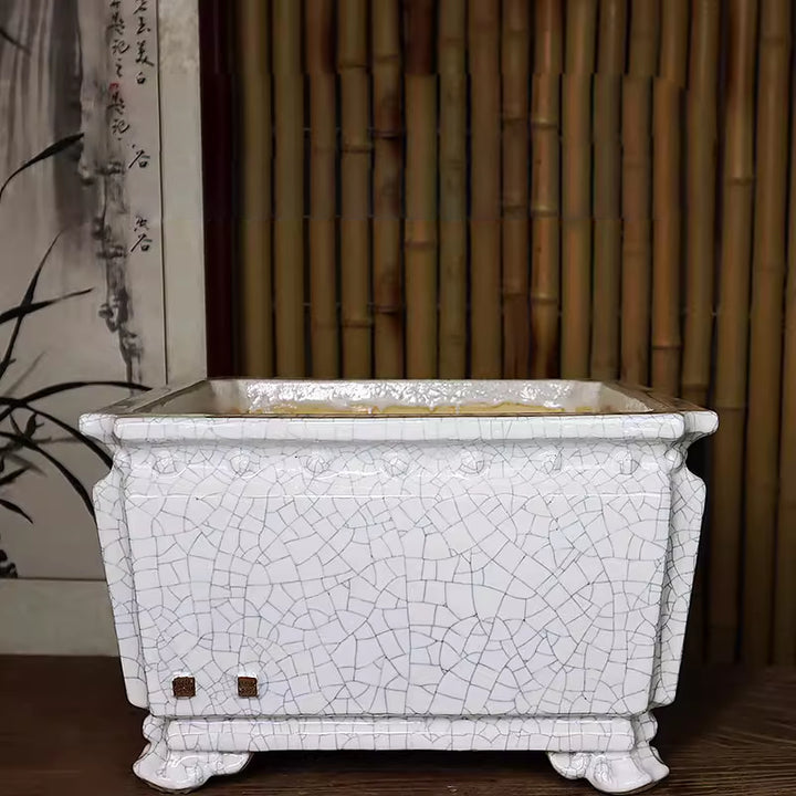 13.5" (34.5cm) Large 7.8" (20cm) Deep Square White Cracked Glazed Bonsai Pot