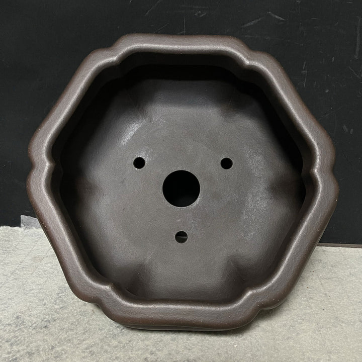 10.2 inch (26cm) Large Hexagonal Bonsai Pot w Soft Curved Petal-Like Walls Inner View