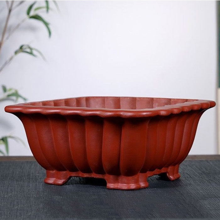 10.2 inch (26cm) Large Square Deep Bonsai Pots w Fluted Walls Corner View