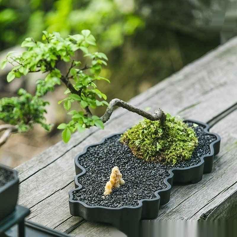 10.8" (27.5cm) Large Cloud Shaped Resin Shallow Bonsai Landscape Pots