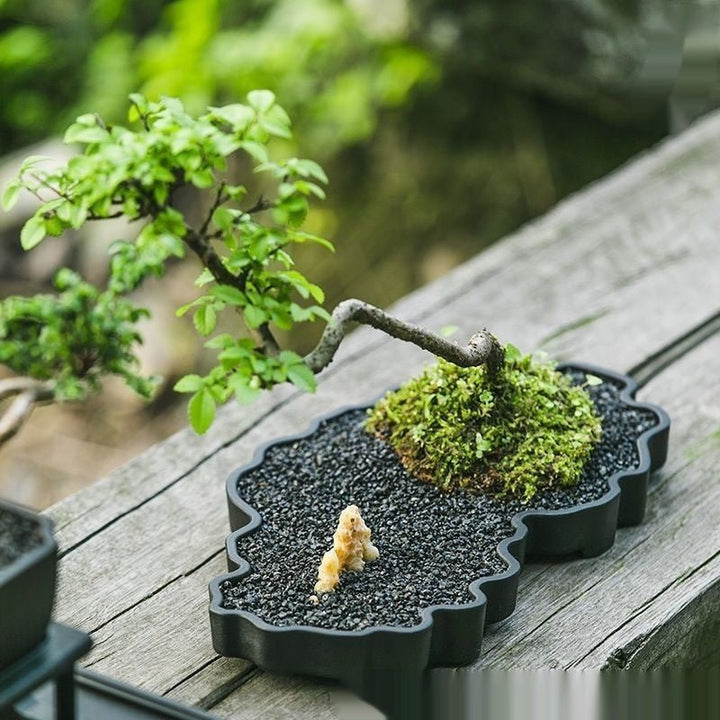 10.8" (27.5cm) Large Cloud Shaped Resin Shallow Bonsai Landscape Pot