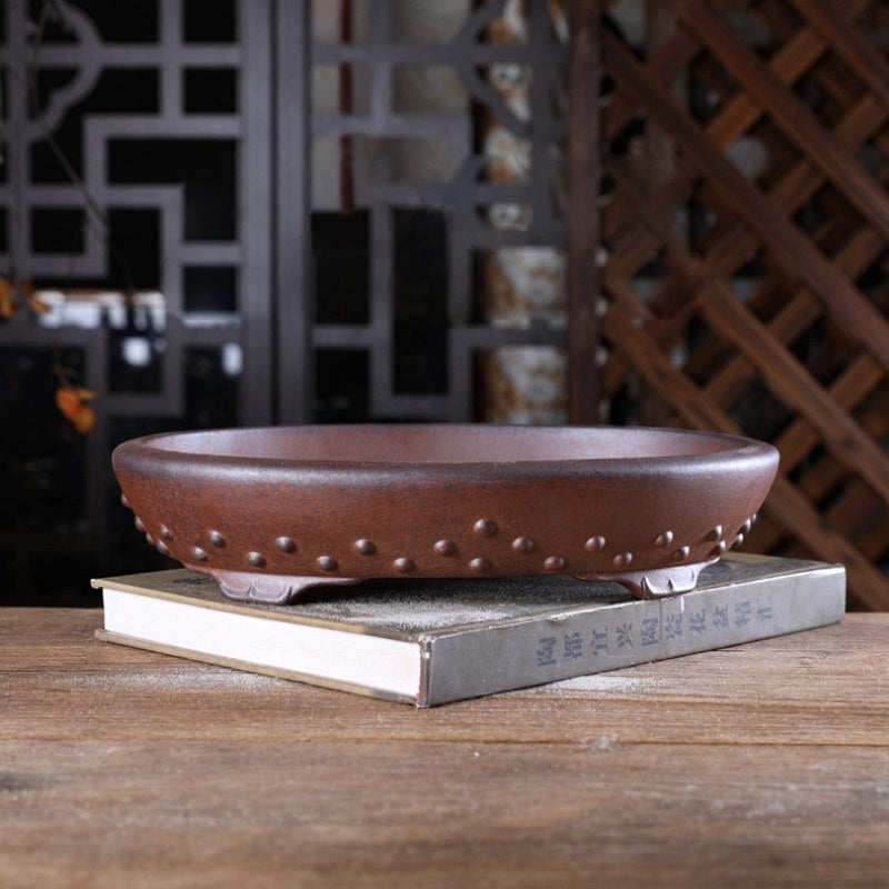 10.8 inch (27.5cm) Large Flared Oval Studded Wood-Fired Unglazed Shallow Bonsai Pot