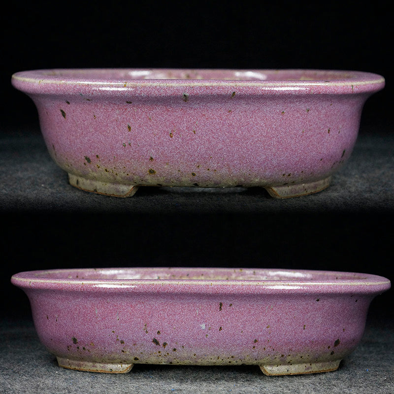 10.8 inch (27.5cm) Large Oval Taisho Kiln Jun Glaze Pink Multi-Tone Bonsai Pot