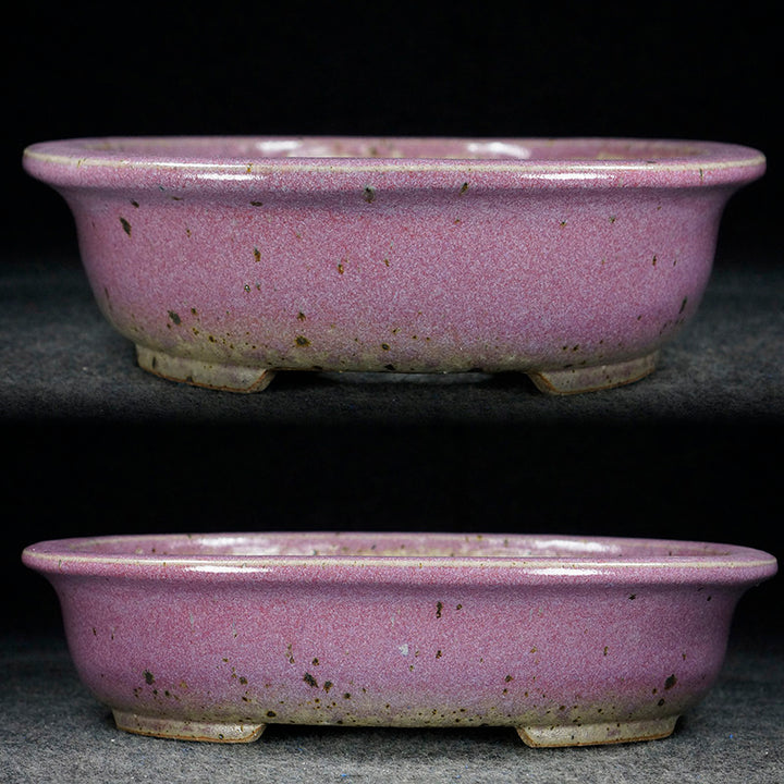 10.8 inch (27.5cm) Large Oval Taisho Kiln Jun Glaze Pink Multi-Tone Bonsai Pot