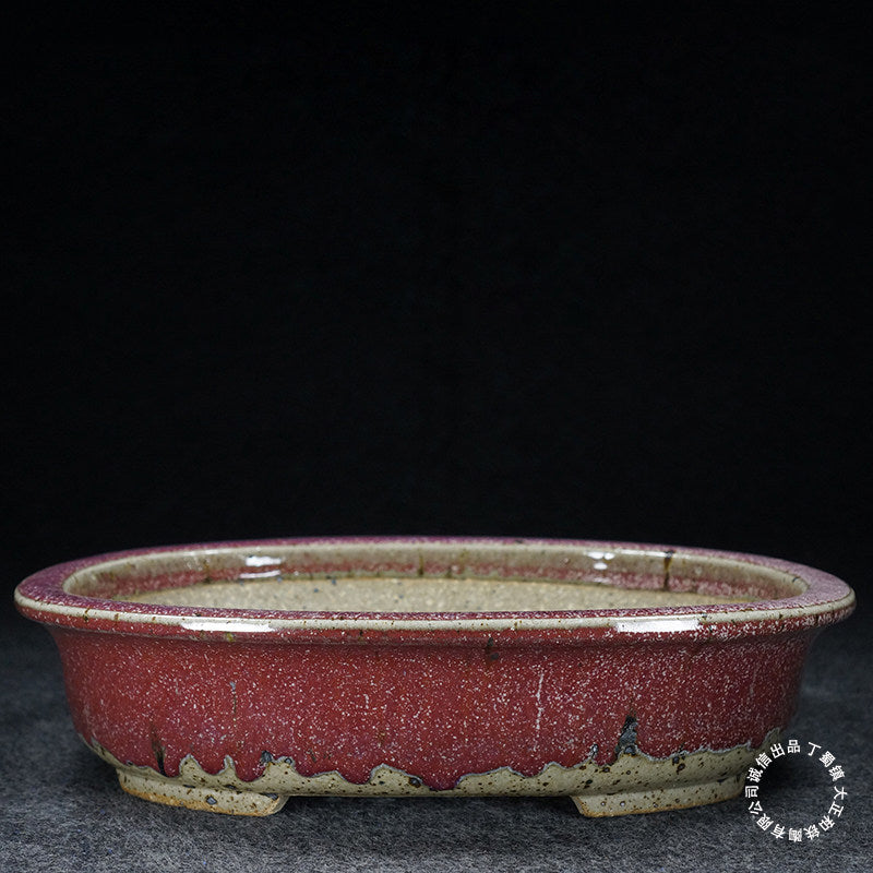 10.9 inch (27.7cm) Large Oval Taisho Kiln Jun Glaze Red-Beige Multi-Tone Bonsai Pot