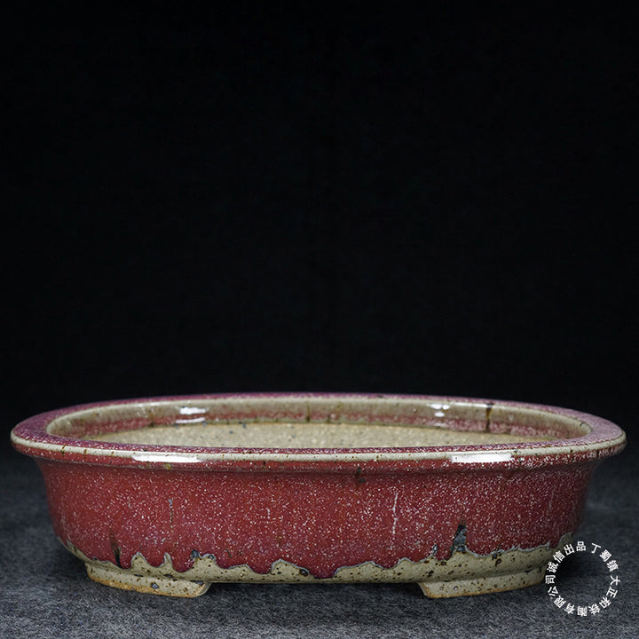 10.9 inch (27.7cm) Large Oval Taisho Kiln Jun Glaze Red-Beige Multi-Tone Bonsai Pot