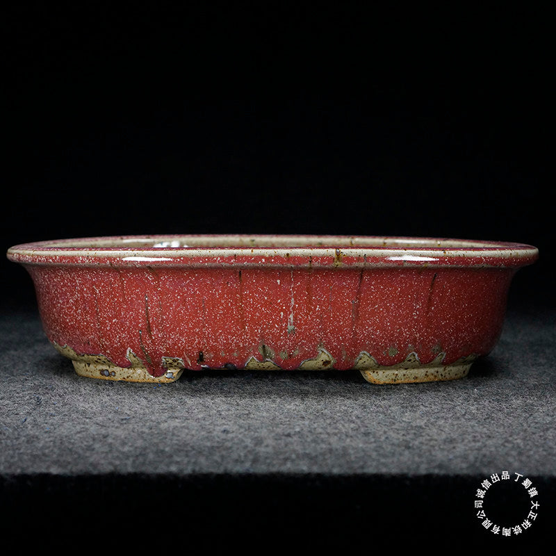 10.9 inch (27.7cm) Large Oval Taisho Kiln Jun Glaze Red-Beige Multi-Tone Bonsai Pot