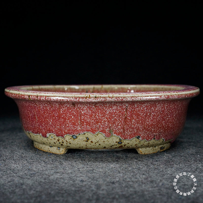 10.9 inch (27.7cm) Large Oval Taisho Kiln Jun Glaze Red-Beige Multi-Tone Bonsai Pot