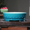 10 Inch (25.5cm) Large Round Studded Glazed Drum Bonsai Pots