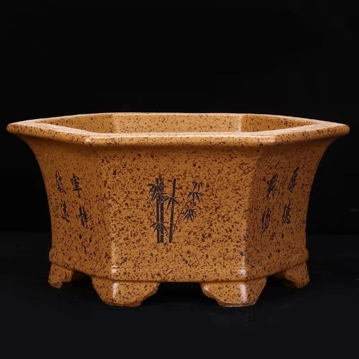 10 inch (25.5cm) Large Hexagonal Speckled Finish Deep Bonsai Pot