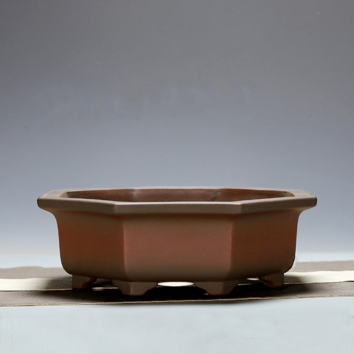 11.1" (28.3cm) Large Octagonal Handcrafted Premium Bonsai Pot