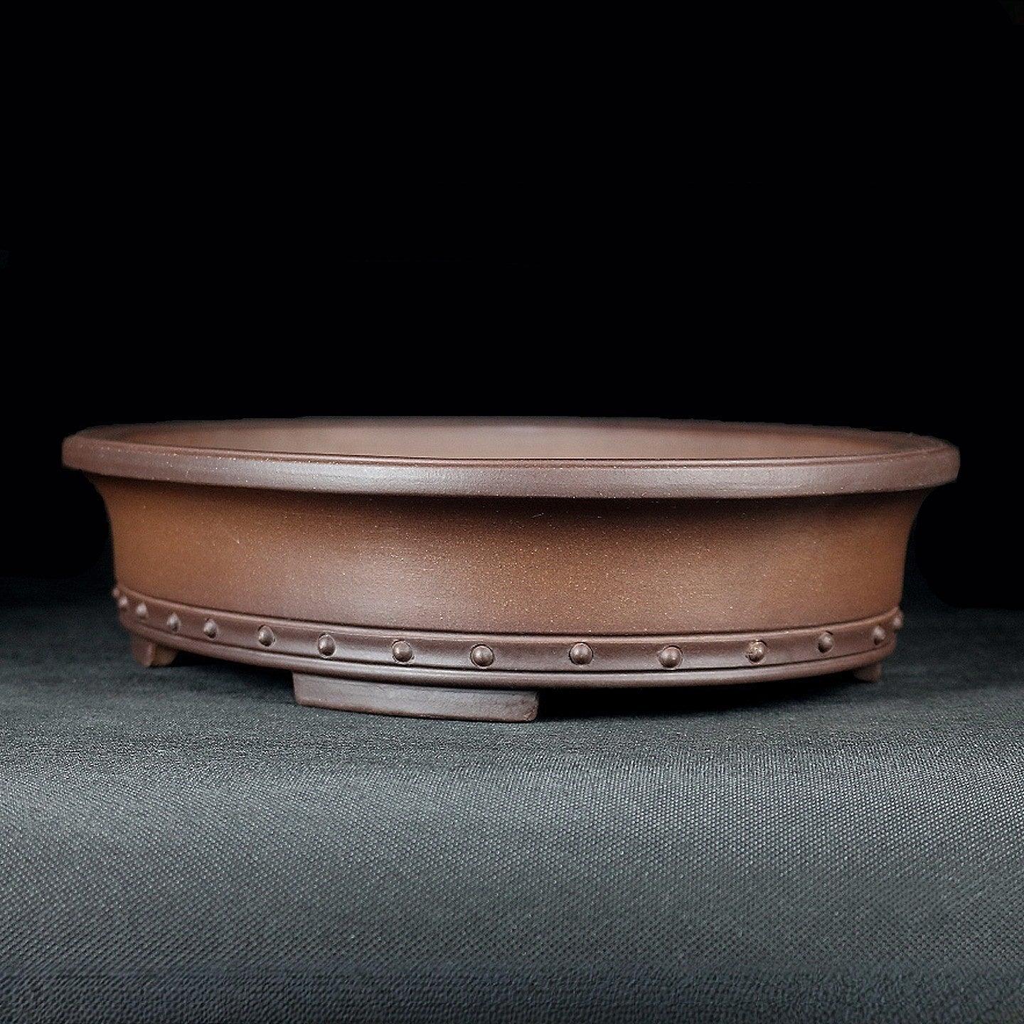 11.2 inch (28.5cm) Large Premium Oval Bonsai Pot with Decorative Studs Corner View
