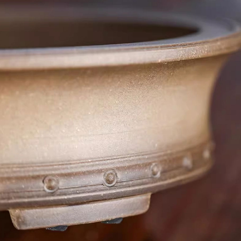 11.4" (29cm) Oval Handmade Shallow Bonsai Pot w Raised Studded Design Close Shot