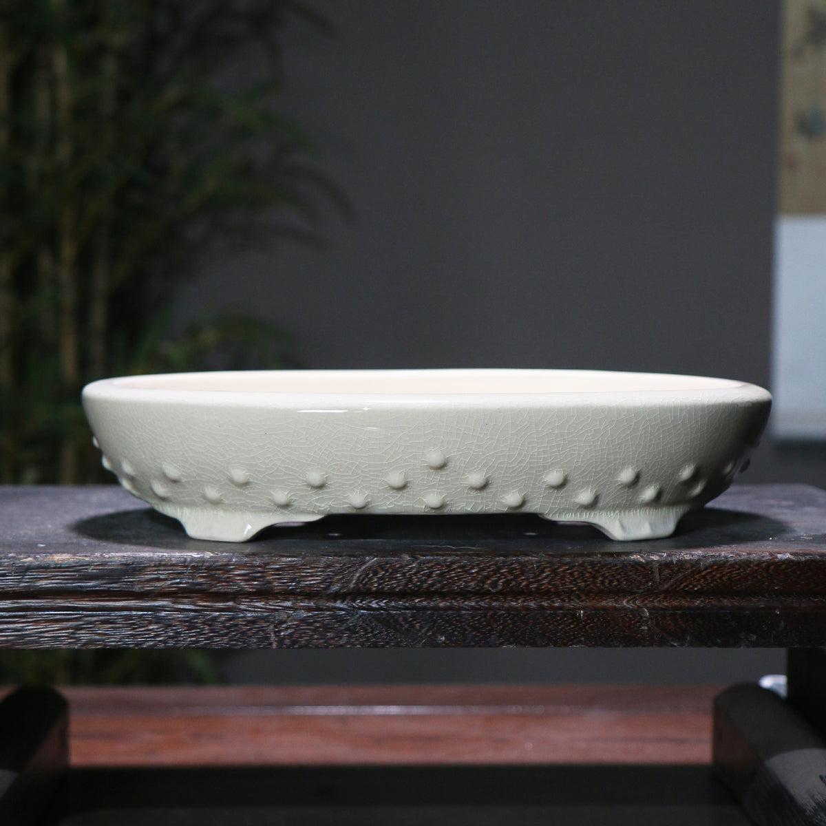 11.4" (29cm) Oval Shallow Cracked Glaze Studded Bonsai Pots Handmade Milky White Color