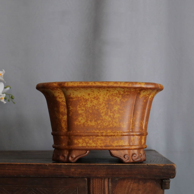 11.8 inch (30cm) Large 6.7 inch (17cm) Deep Square Speckled Finish Premium Bonsai Pot 