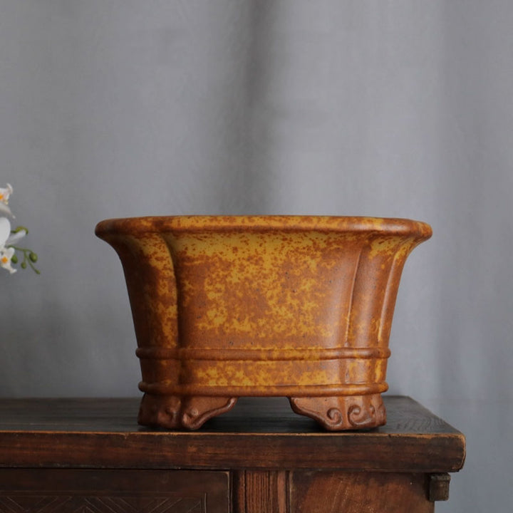 11.8 inch (30cm) Large 6.7 inch (17cm) Deep Square Speckled Finish Premium Bonsai Pot 