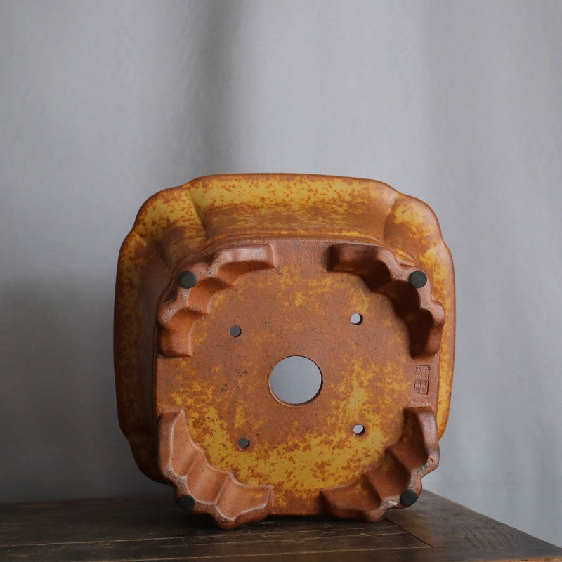 11.8 inch (30cm) Large 6.7 inch (17cm) Deep Square Speckled Finish Premium Bonsai Pot Bottom View