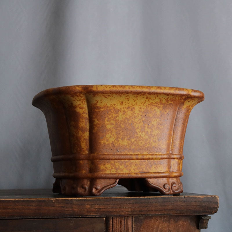 11.8 inch (30cm) Large 6.7 inch (17cm) Deep Square Speckled Finish Premium Bonsai Pot Corner View