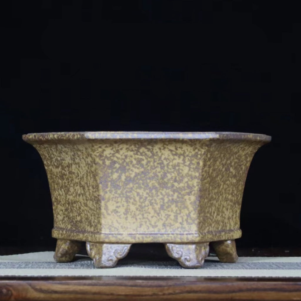 11.8 inch (30cm) Large Hexagonal Speckled Finish Deep Bonsai Pot