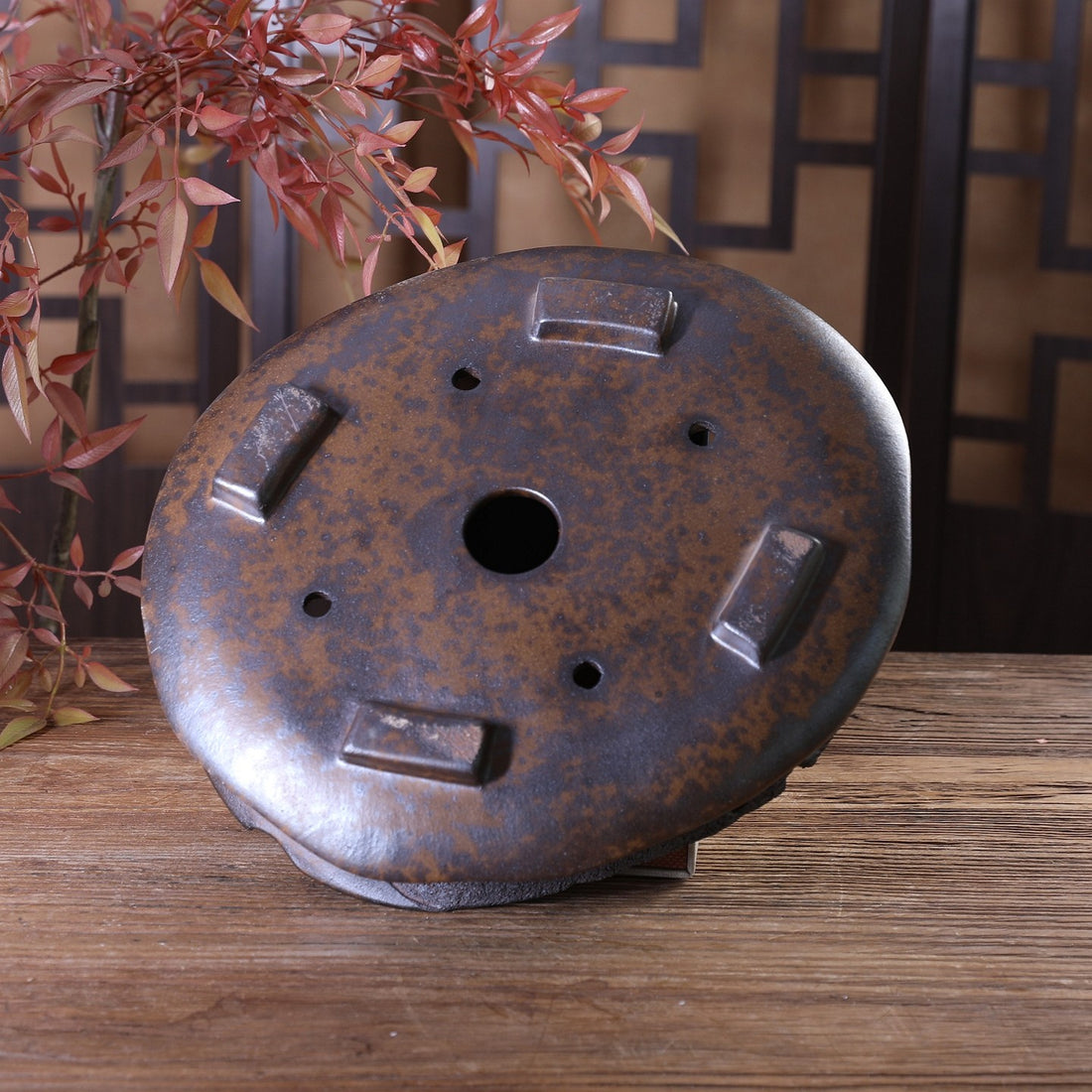 10.2" (26cm) Vaso bonsai ovale grande, cotto a legna, con finitura puntinata, non smaltato e con texture simile all'erosione