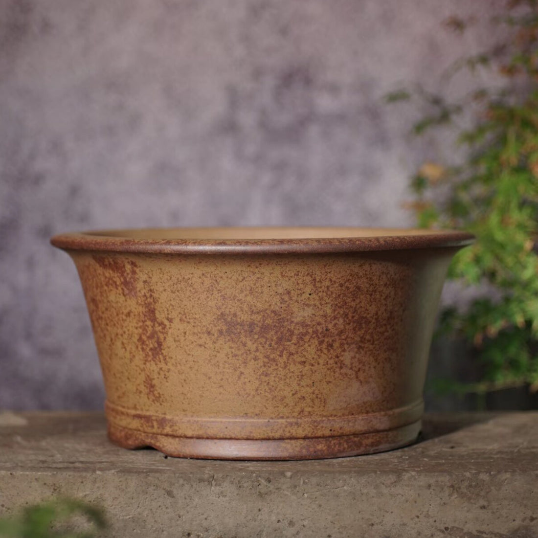 11 inch (28cm) Large 5.3 inch (13.5cm) Deep Round Wood-Fired Finish Semi Cascade Bonsai Pot