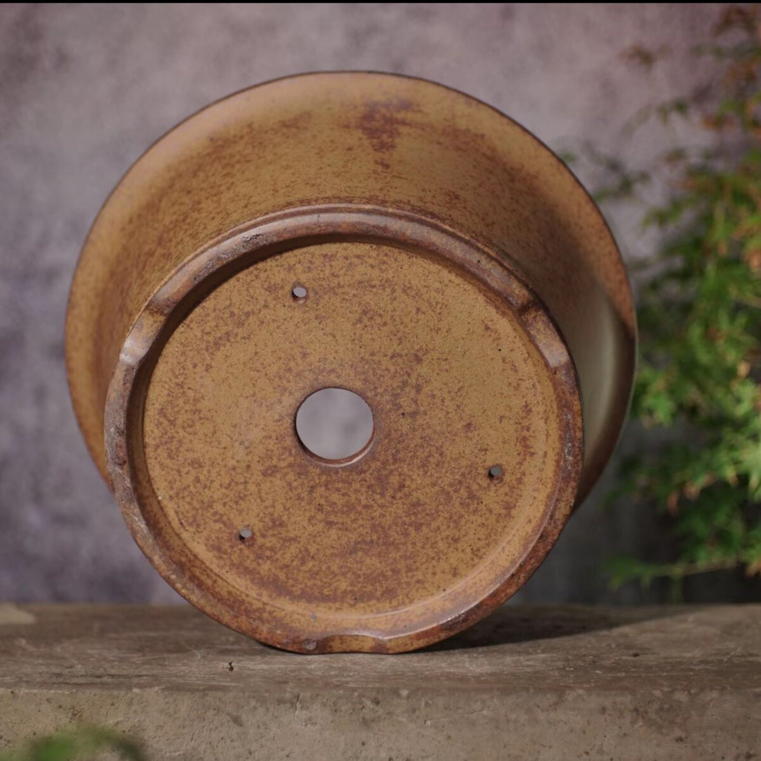 11 inch (28cm) Large 5.3 inch (13.5cm) Deep Round Wood-Fired Finish Semi Cascade Bonsai Pot Bottom View