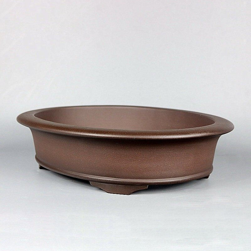 11 inch (28cm) Large Oval Traditional Unglazed Premium Bonsai Pot with Flared Rim Corner View
