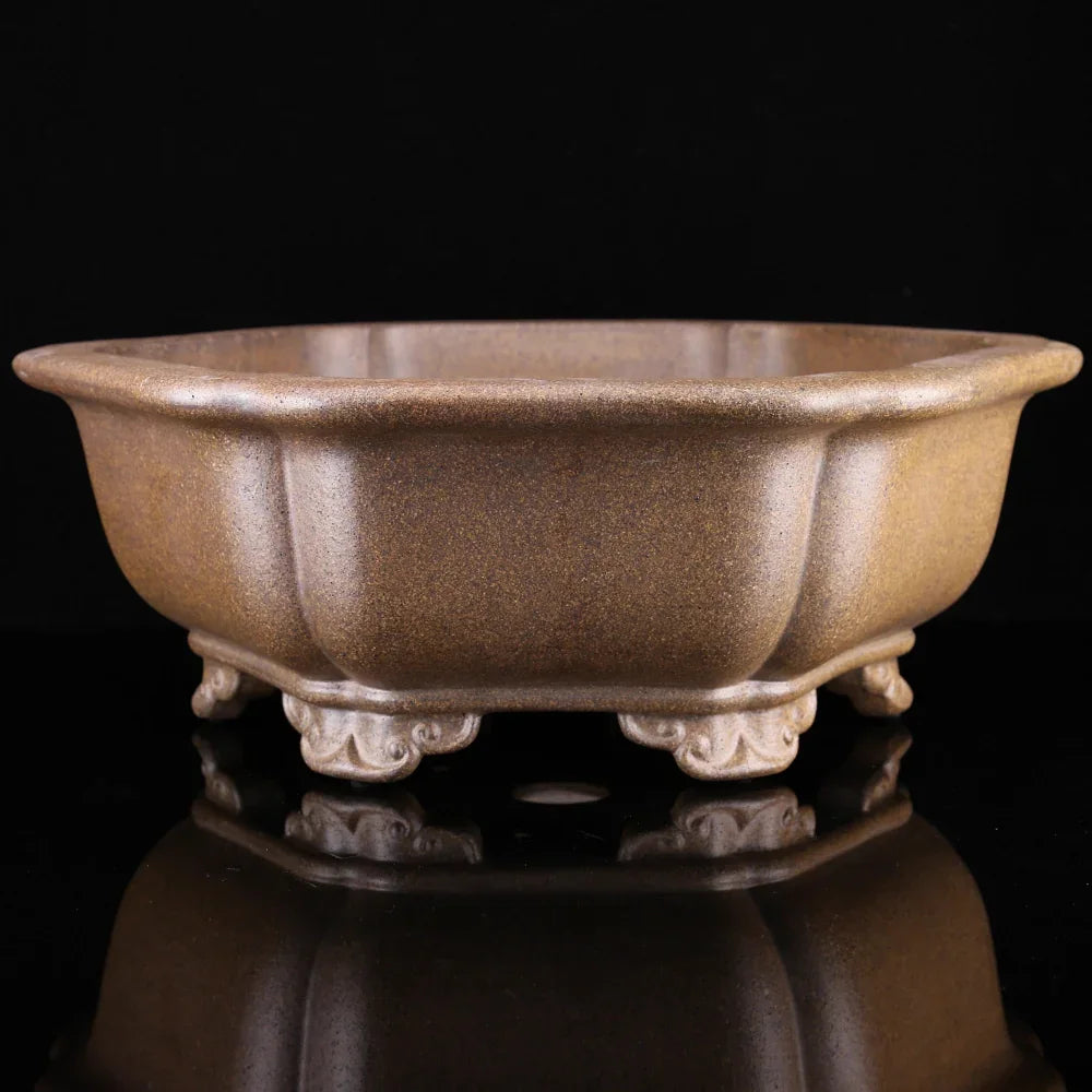 12.2 inch (31cm) Handmade Hexagonal Bonsai Pot w Scalloped Edges & Ornate Feet