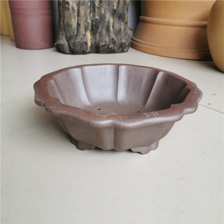 12.2 inch (31cm) Large Flared Lotus-Shaped Bonsai Pot w Petal-Like Walls