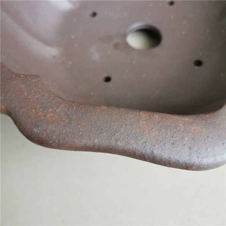 12.2 inch (31cm) Large Flared Lotus-Shaped Bonsai Pot w Petal-Like Walls Close Shot