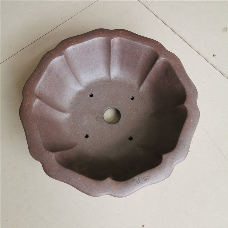 12.2 inch (31cm) Large Flared Lotus-Shaped Bonsai Pot w Petal-Like Walls Top View