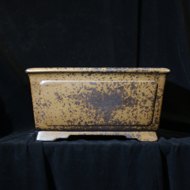 12.6 inch (32cm) Large 6.3 inch (16cm) Deep Square Wood-Fired Semi Cascade Bonsai Pot