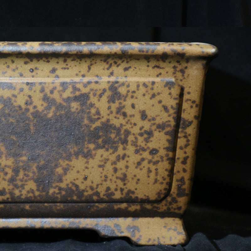 12.6 inch (32cm) Large 6.3 inch (16cm) Deep Square Wood-Fired Semi Cascade Bonsai Pot Close Shot