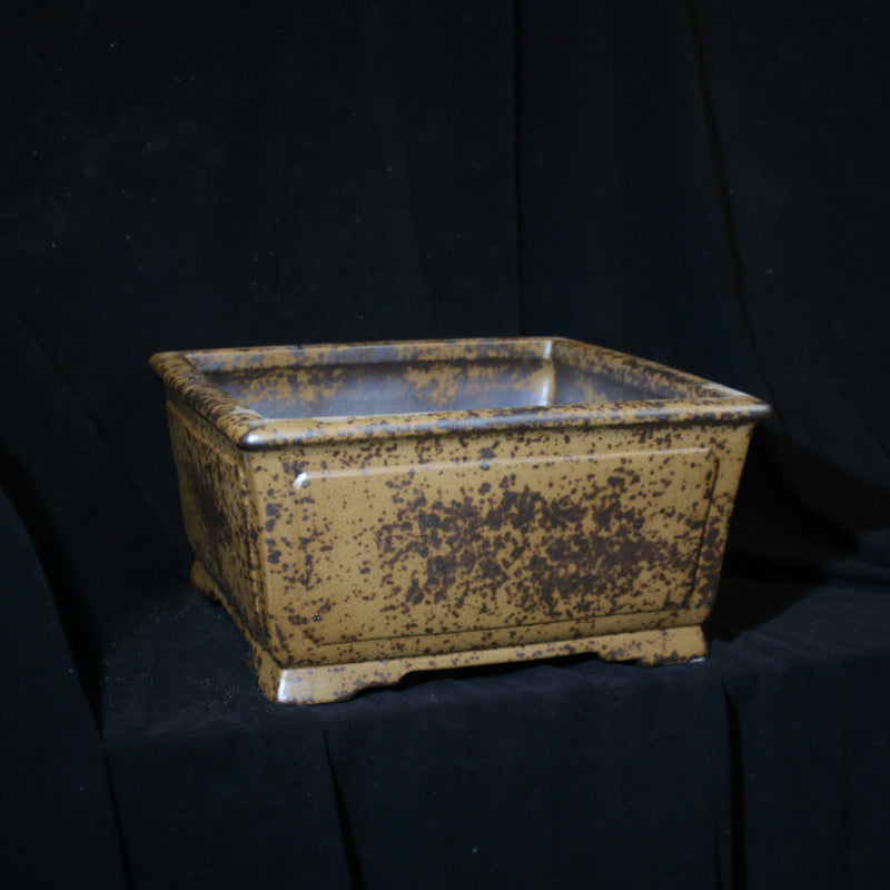 12.6 inch (32cm) Large 6.3 inch (16cm) Deep Square Wood-Fired Semi Cascade Bonsai Pot Corner View