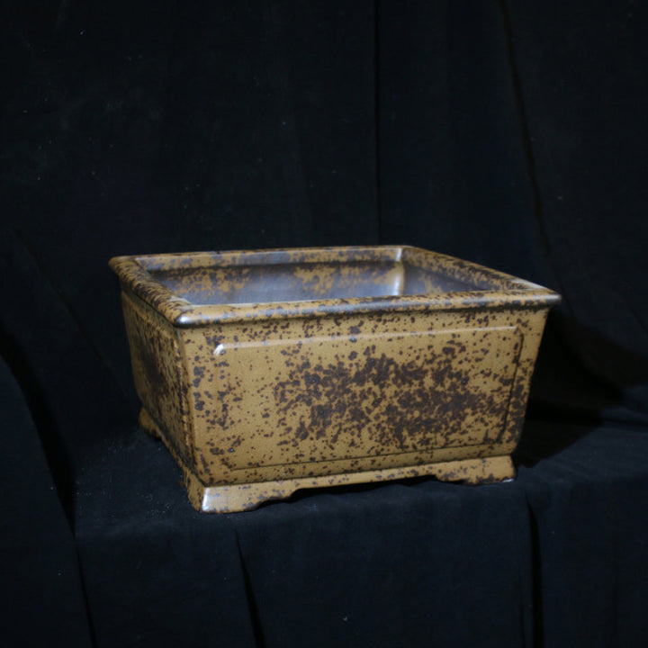 12.6 inch (32cm) Large 6.3 inch (16cm) Deep Square Wood-Fired Semi Cascade Bonsai Pot Corner View