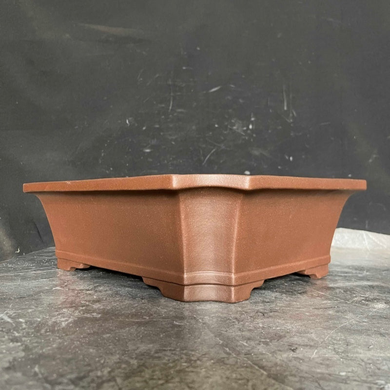 13.3 inch (34cm) Large Classic Flared Rectangular Corner-Cut Bonsai Pot Corner View