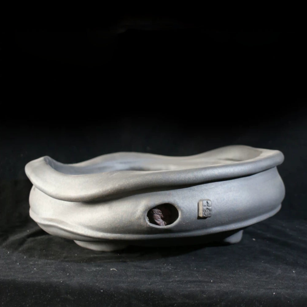 13.3 inch (34cm) Large Irregular Round Gray Unglazed Bonsai Pot with Sculptural Wavy Rim