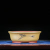 13.3 inch (34cm) Large Oval Unglazed Traditional Bonsai Pots Yellow Color