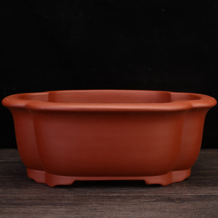 13.4 inch (34.2cm) Large Scalloped Petal-Like Unglazed Oval Bonsai Pots