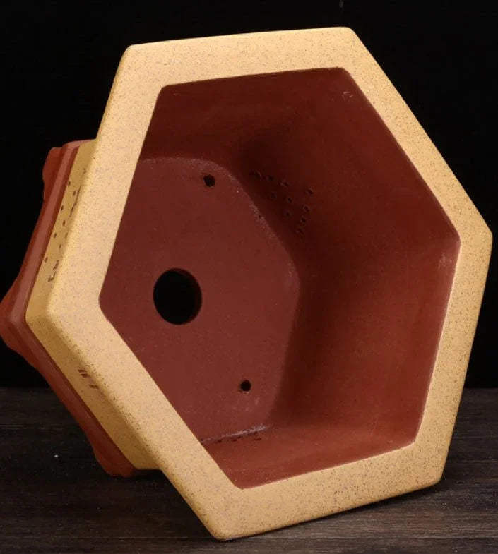 13.5" (34.3cm) Large Hexagonal Engraved Deep Bonsai Pots Inner View