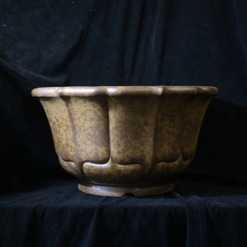 13.7 inch (35cm) Large 8.2 inch (21cm) Deep Lotus-Shaped Bonsai Pot w Eroded Stone-LIke Texture Back View