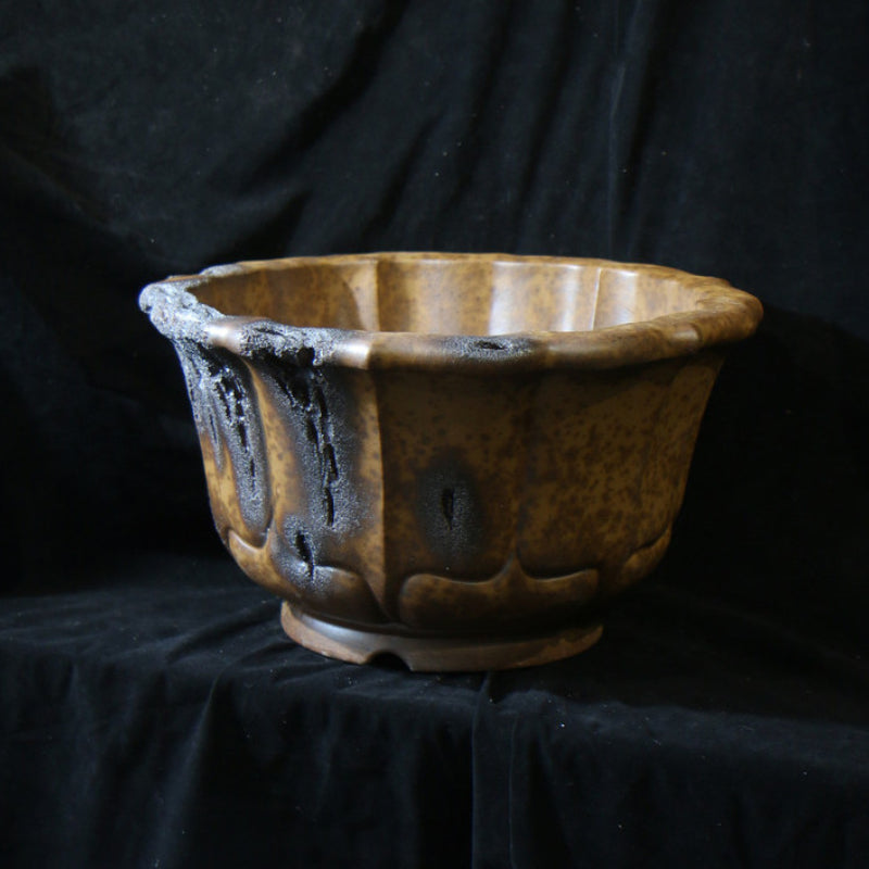 13.7 inch (35cm) Large 8.2 inch (21cm) Deep Lotus-Shaped Bonsai Pot w Eroded Stone-LIke Texture Corner View