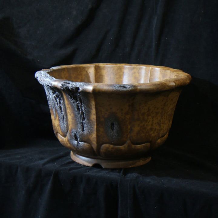 13.7 inch (35cm) Large 8.2 inch (21cm) Deep Lotus-Shaped Bonsai Pot w Eroded Stone-LIke Texture Corner View