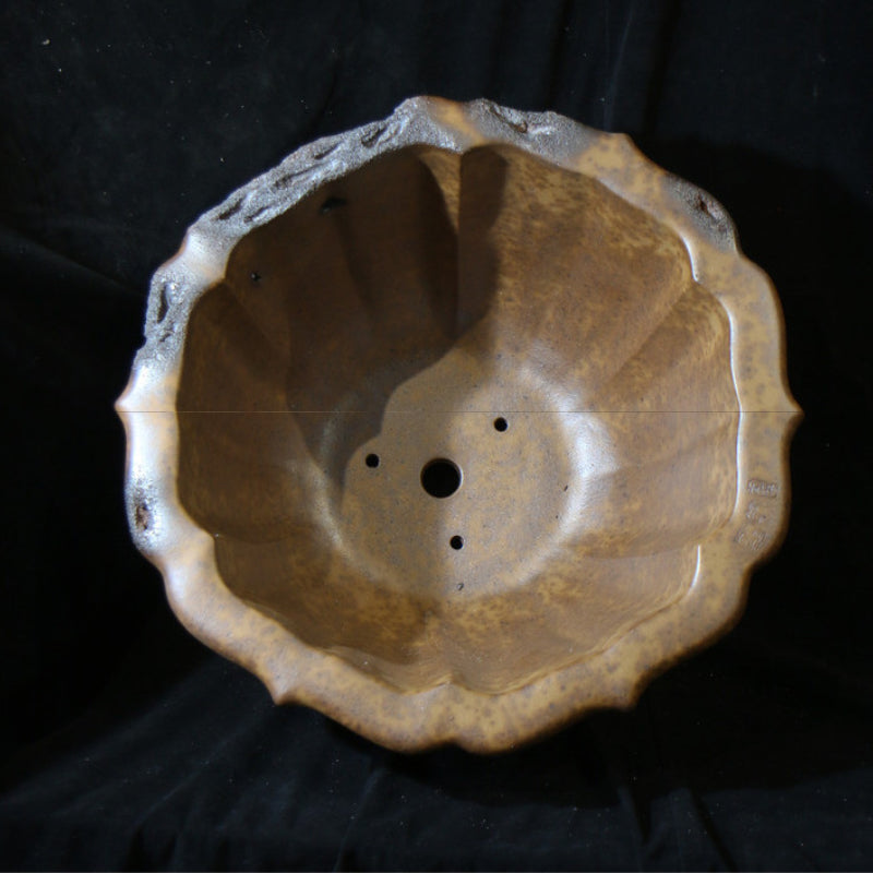 13.7 inch (35cm) Large 8.2 inch (21cm) Deep Lotus-Shaped Bonsai Pot w Eroded Stone-LIke Texture Inner View