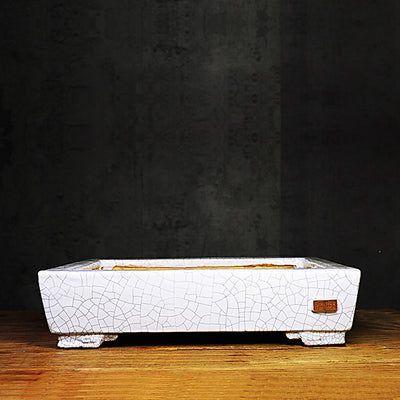 13.7 inch (35cm) Large Rectangle Cracked Glazed Shallow Ceramic Bonsai Pots White Color